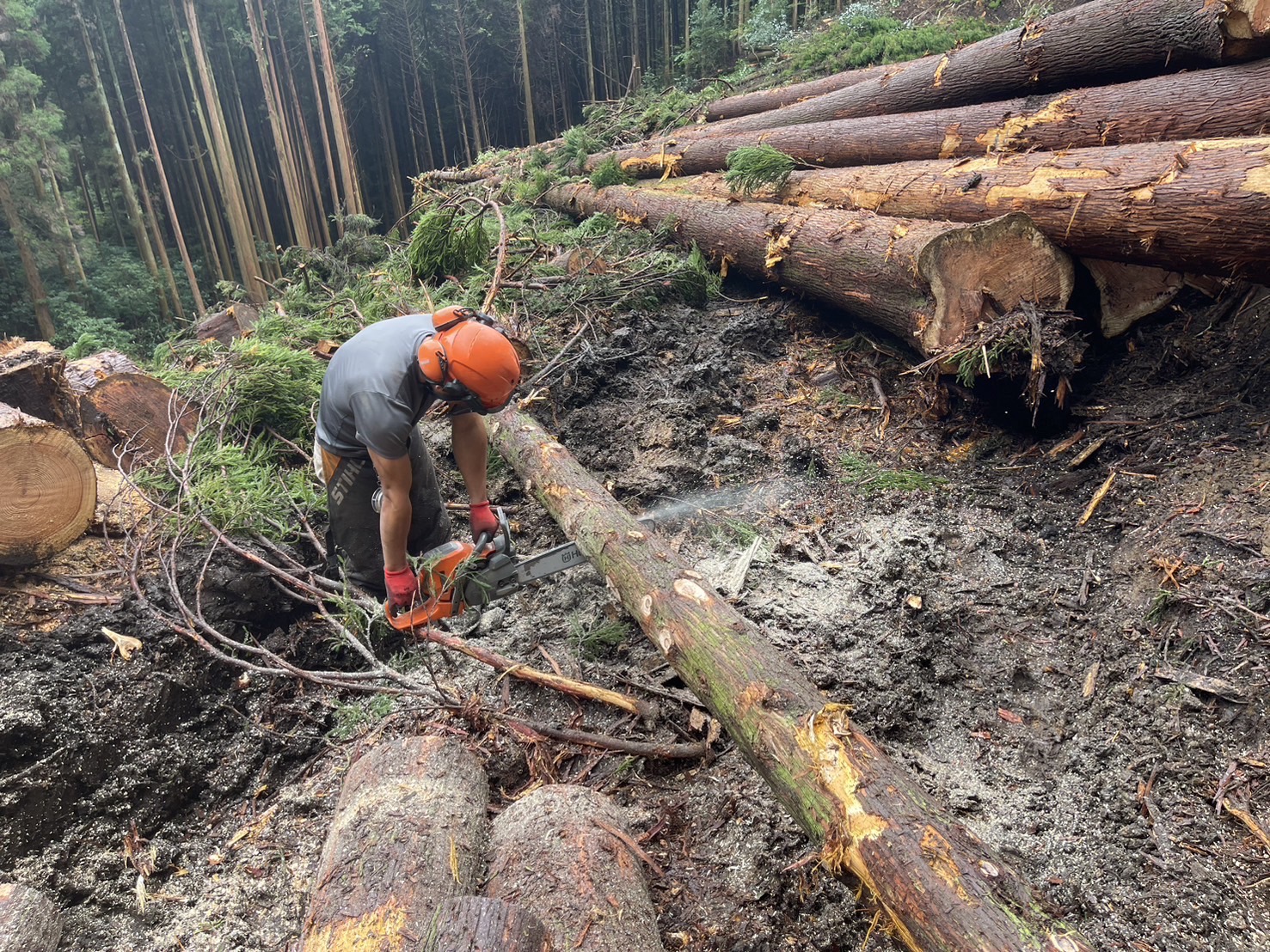 一緒に働く仲間を募集しています